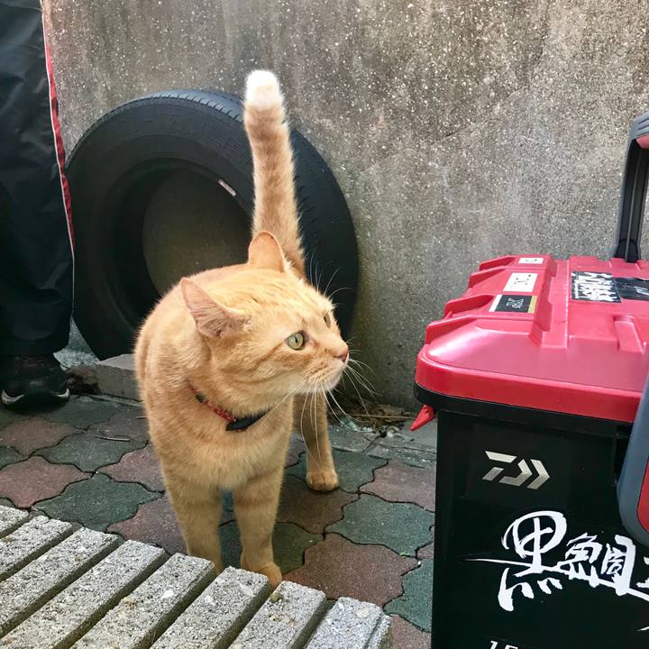 1440749a 2f5e 4205 bbae 0deca60790bb 1538898558235