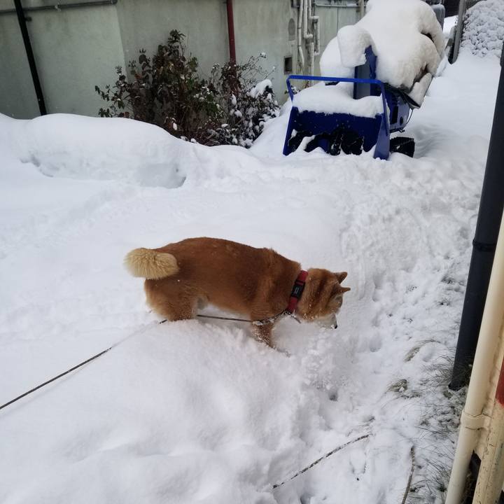 14407bec cae1 4c34 838d 6356bd95ae05 1738712414118