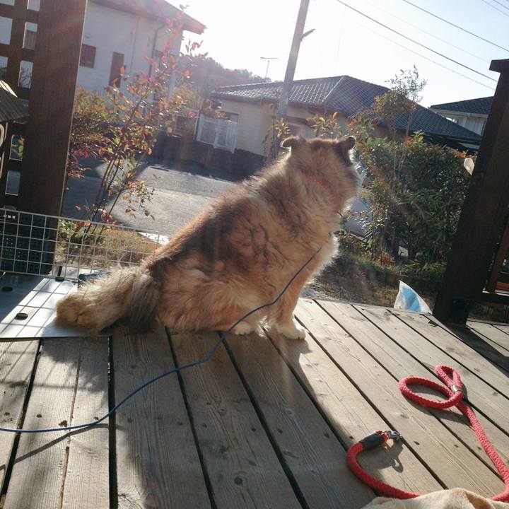 14407c4e b6d6 468b 923f faf6a35ae2c6 1653152223296