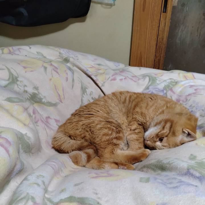 14407ef0 dfbb 4234 9c12 aa366454483f 1673097009441