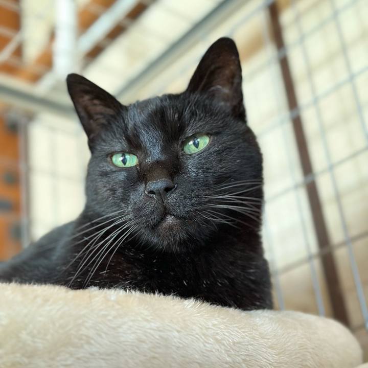 1440bbd3 47e7 41f1 b916 1a4e424ef26f 1675567349657