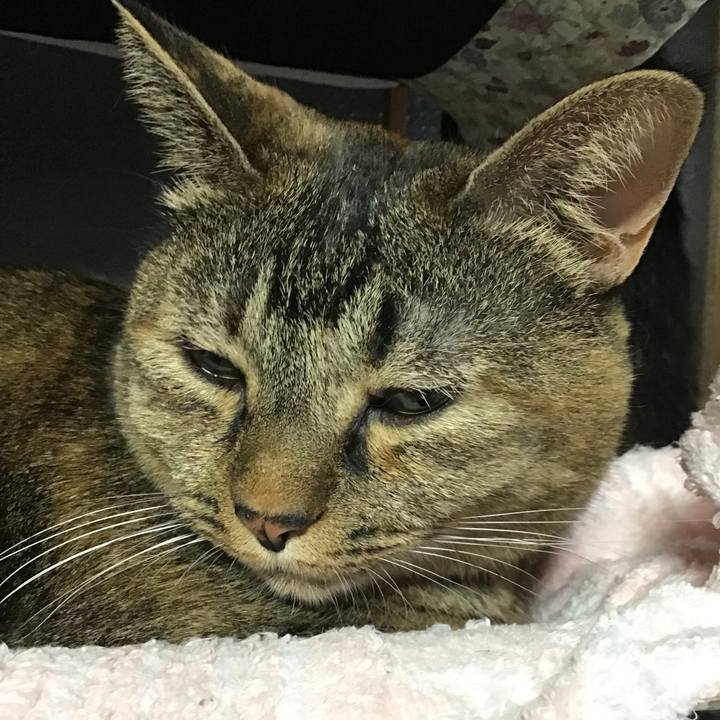 1440e49c 5836 47e4 9258 520481a19125 1757922705496