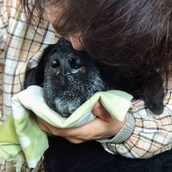 1440f2a1 444e 4eb5 a487 5499ce8b8fc4 1731893137538