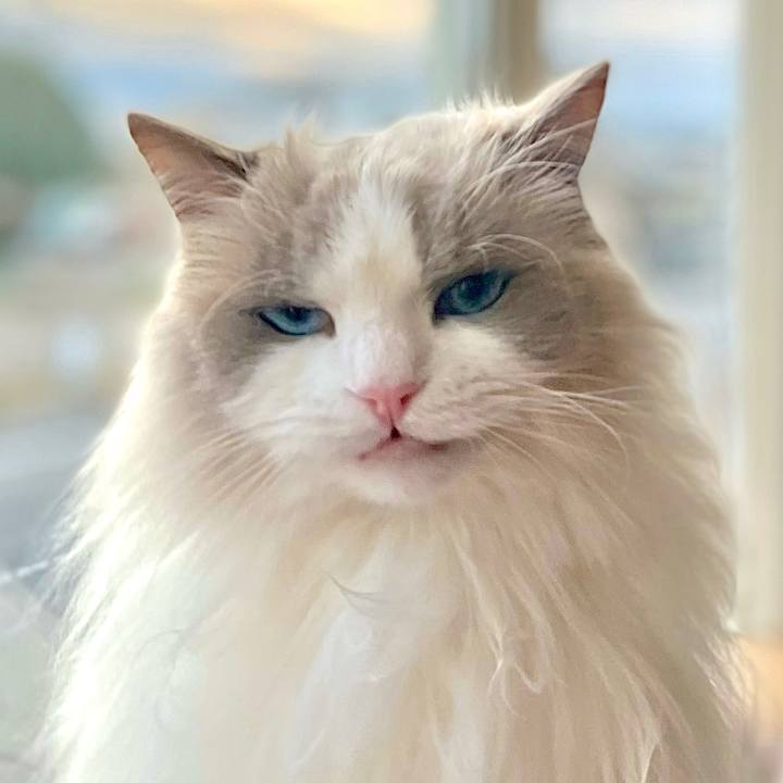 144104fe c437 4ee5 9176 4d35d5960c45 1647119467505