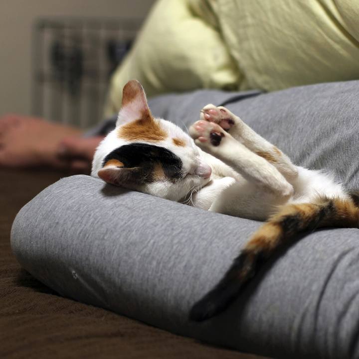 14414334 451d 4482 bc39 6370cbec72b8 1563075238847