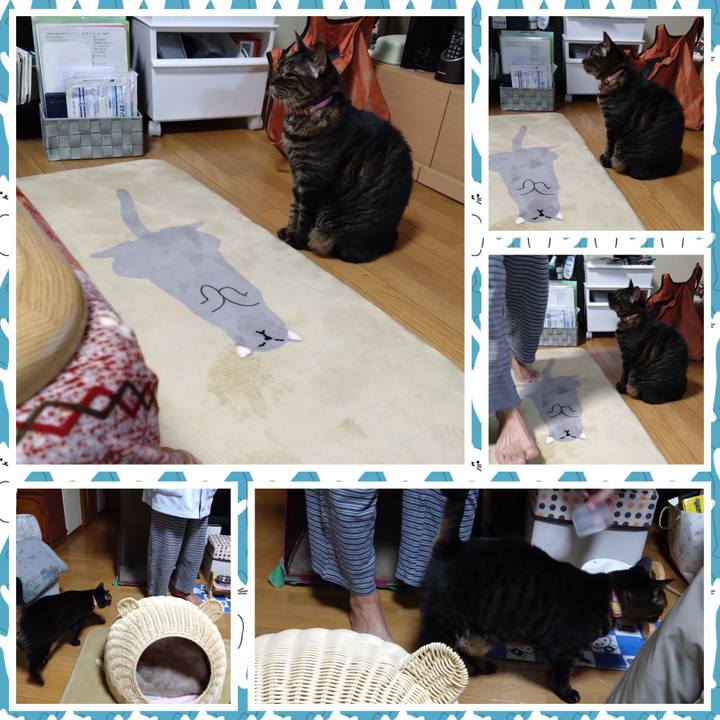 144156fa 9ee8 489d 8837 e101f862b6a0 1765801984026