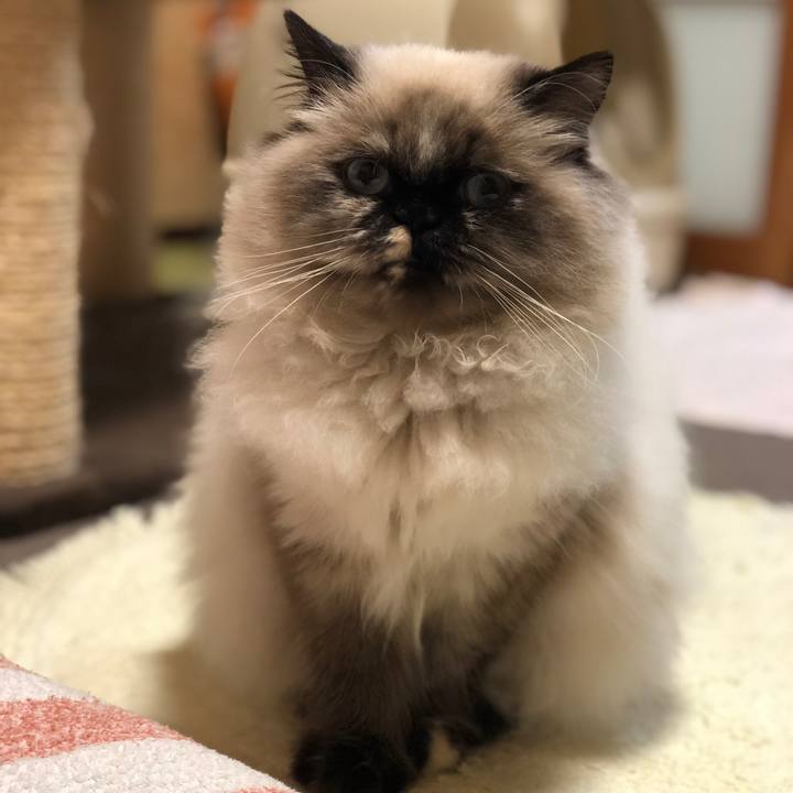 1441a96f 655d 44b5 883f 96fb2c49bf6e 1638541798817