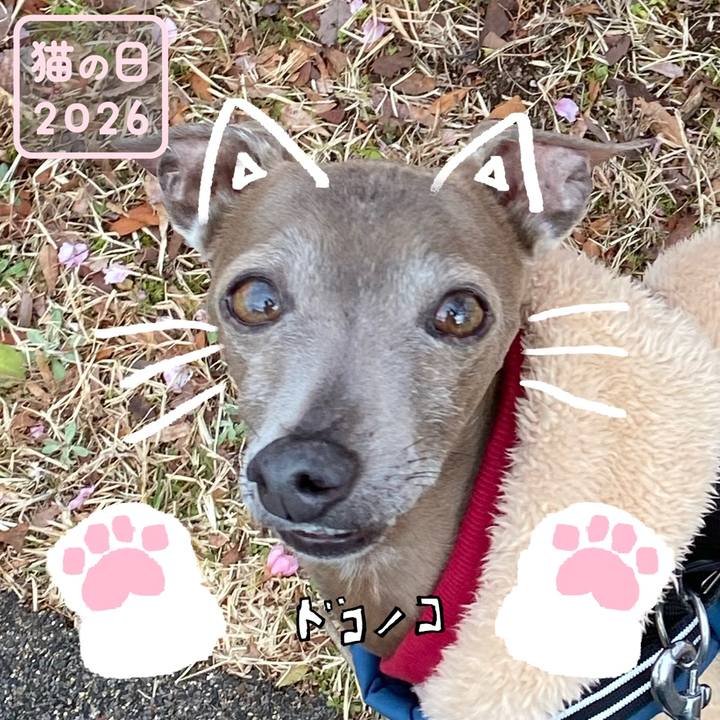 1441b413 75b0 441f abf5 a4a36d8ee8aa 1771714819387