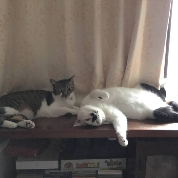 1441b6c5 5f59 4dd5 81ad b4c43ddd4647 1767620284311