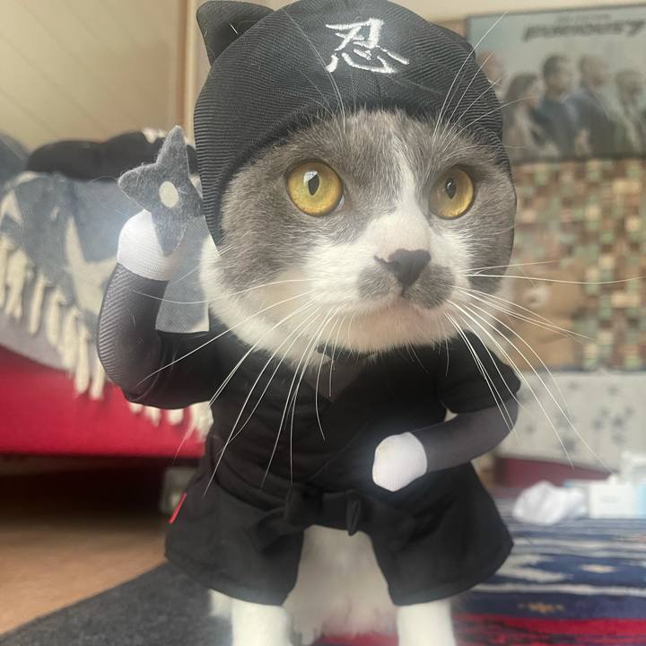 1441c8d0 e0d7 48b0 a935 228795e1b47b 1635661842643