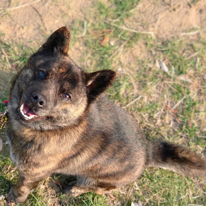 14423124 8bde 48f6 ab35 cfe19c9f67f4 1521973458684