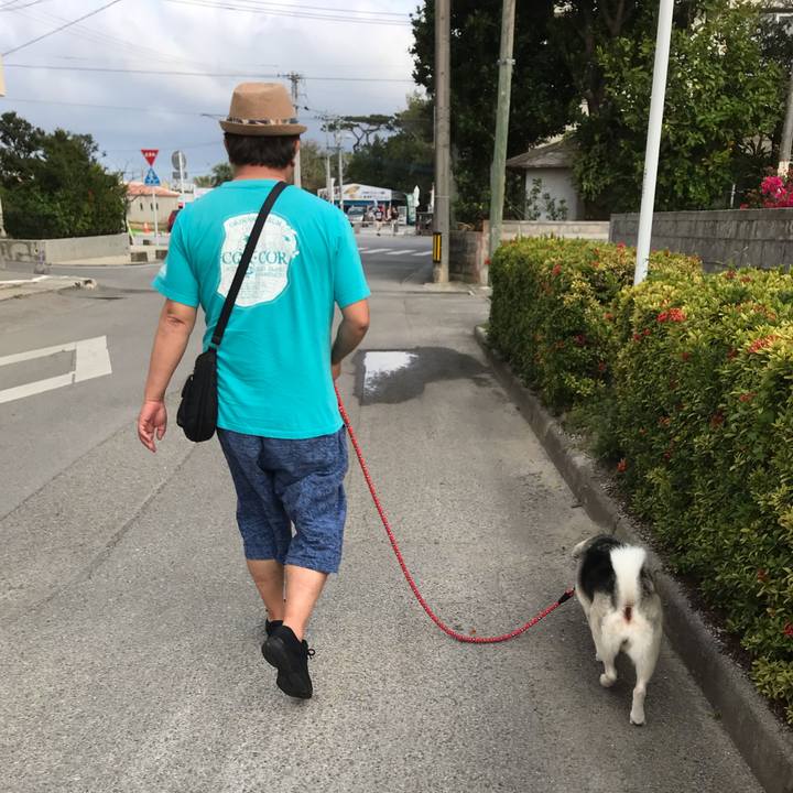 1442559b 48fb 422c b24e 2307d5c0b483 1581684707694