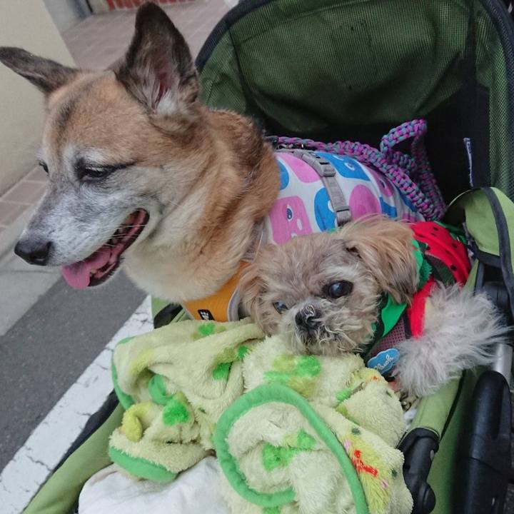 14428d68 2ce4 4401 822a c13384e390c0 1621515780027