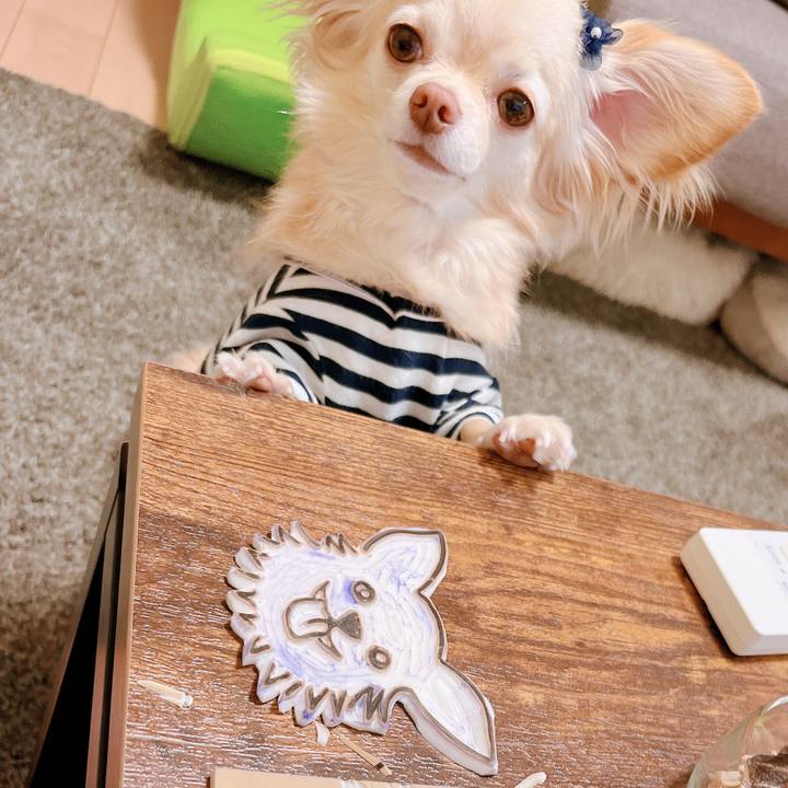 1442da70 4778 4718 b7f5 448a81cf7c66 1656415359898