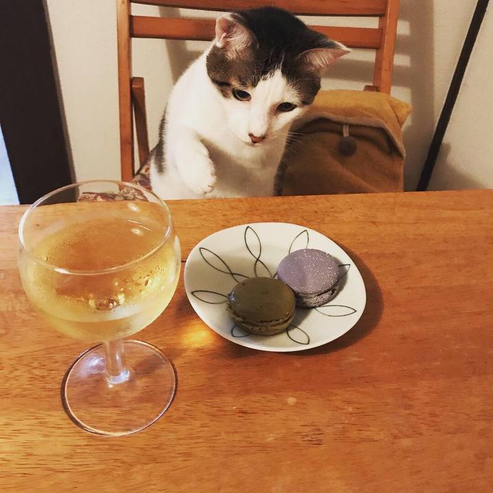 1442e4af 584e 4402 af0a 16d2fb897518 1540308031533