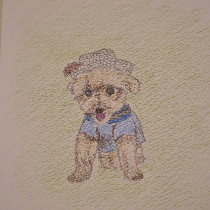 1443183b f804 48b3 b74d fe9c0f7c390f 1662086743028