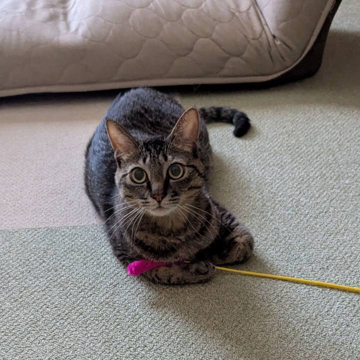 14432277 42d8 4f4b a50b da71579a4783 1753313461833