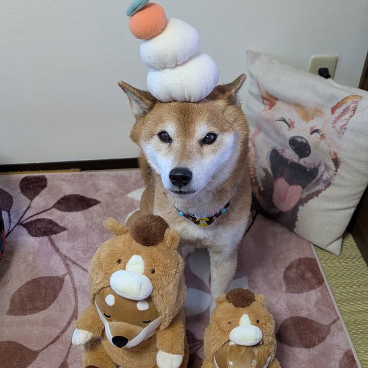 1443596d 0df4 4716 9c1f 7b5f80ac85f5 1767408739829