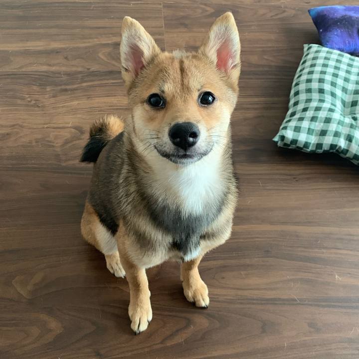 1443651a 3d06 4bb5 b4a4 09743a673518 1623016150938