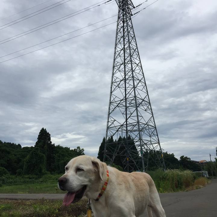 14436e74 f44e 42f2 9d7e 1e7cf3610e5a 1530664585168