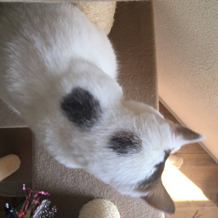 1443780c 6311 4ba1 9656 12582d297b81 1515646087796