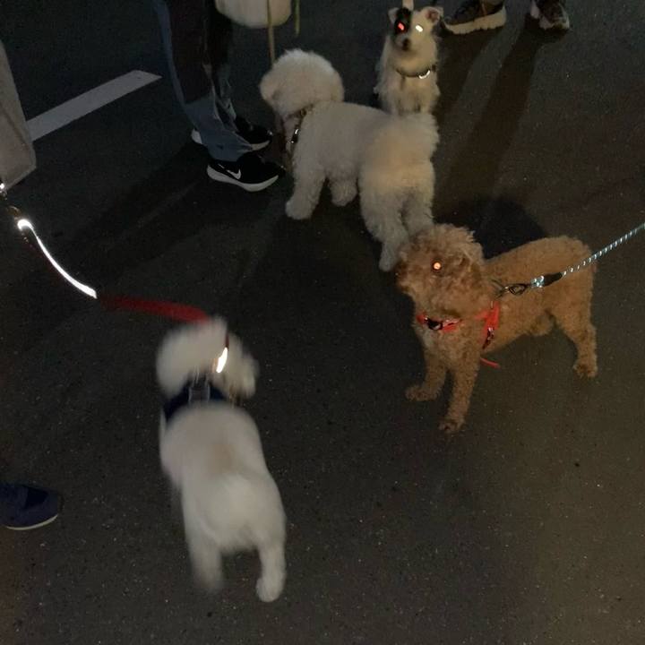 14437f74 5c2b 4b04 83c6 91e9cd2dd634 1698482822890