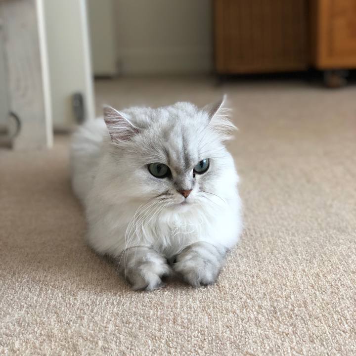 14438f26 3ef6 4c84 8167 c56cef8597d3 1531179877719