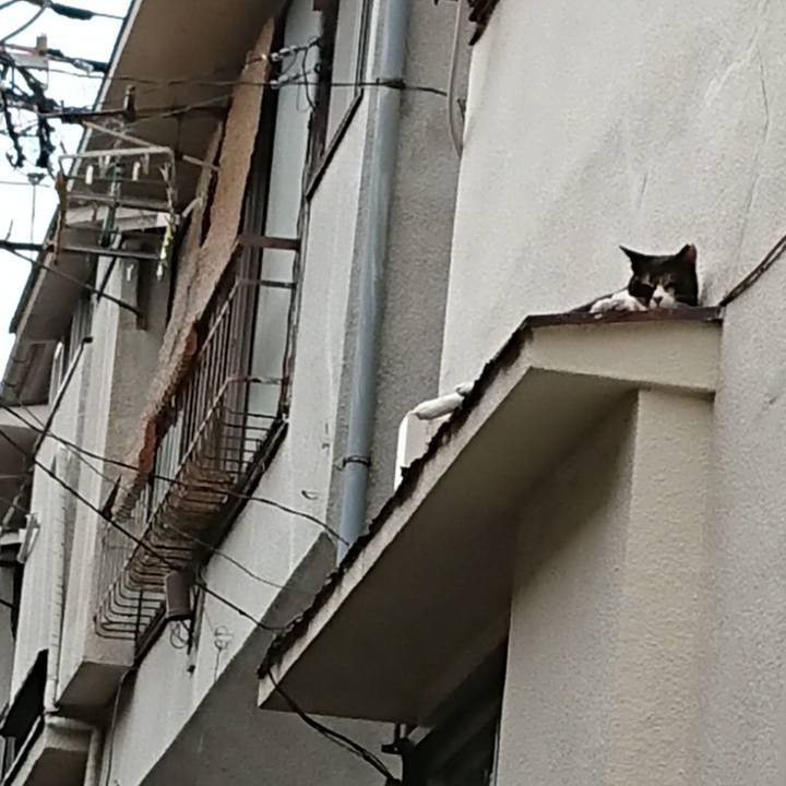 14439af9 12b5 493c 87e6 c6b37fbb42e9 1595572774781