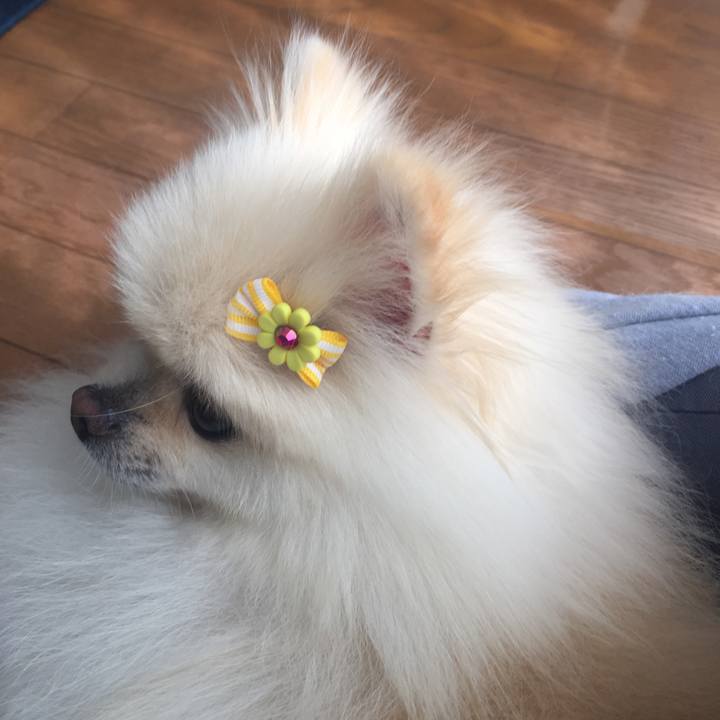 1443bdf5 90e6 40d9 9c96 a401fdc55fed 1565328138965