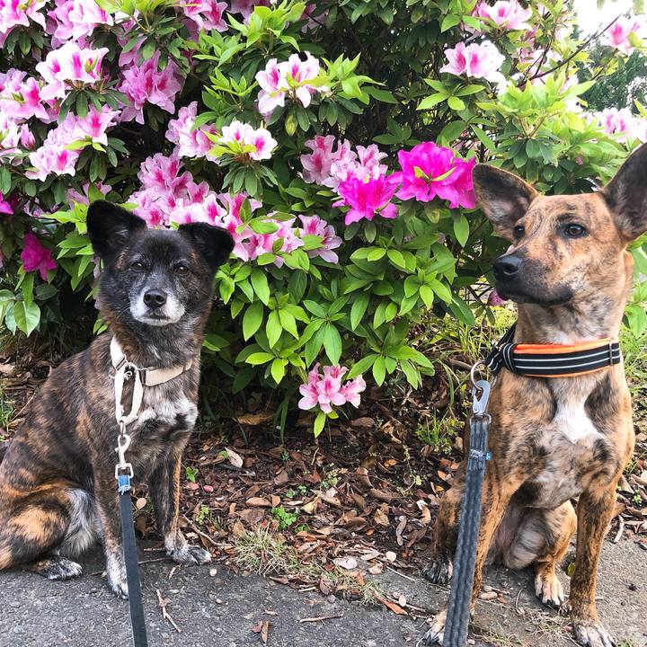 1443bedb f5e4 43f2 8804 015dba7fea1e 1586908879405