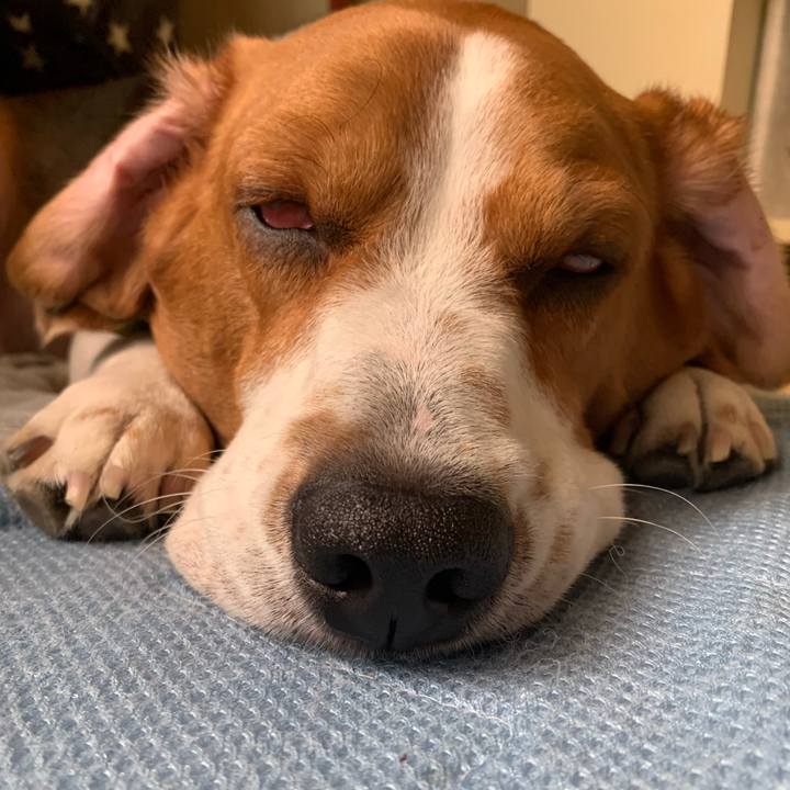 1443c863 d2ad 41bb a9d8 cc362abe9d6d 1598672774010