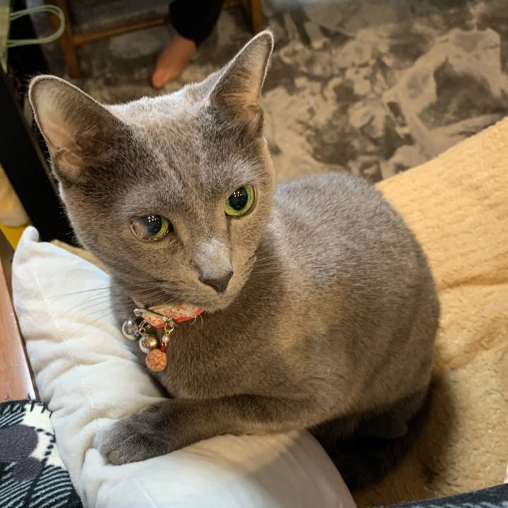 1443d47a fbef 4032 8727 9329bc78acd3 1613225751689