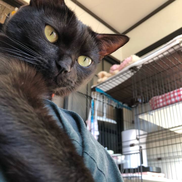 1443dc50 f1a6 4073 b00d 193d6e577040 1547855730611