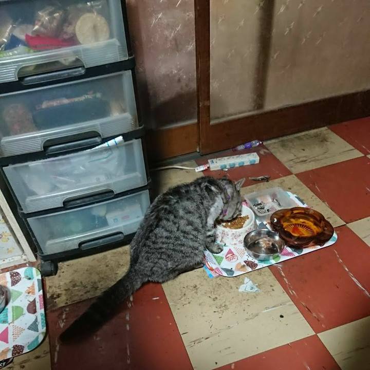 14441a18 1bd5 4bec 8170 55d8de1b1ceb 1589313471982