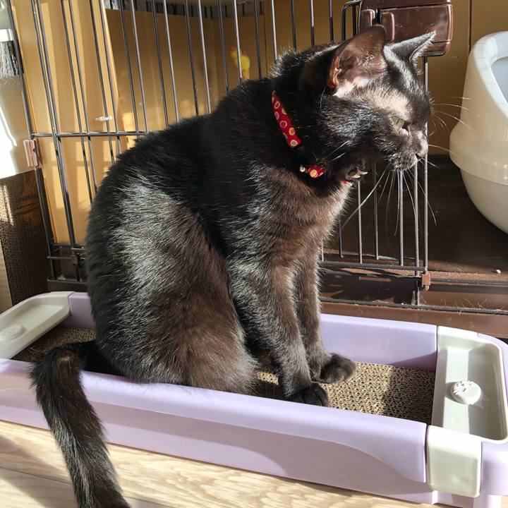 14442738 92be 41a6 bb6f b76eb3b97e0a 1617143576519