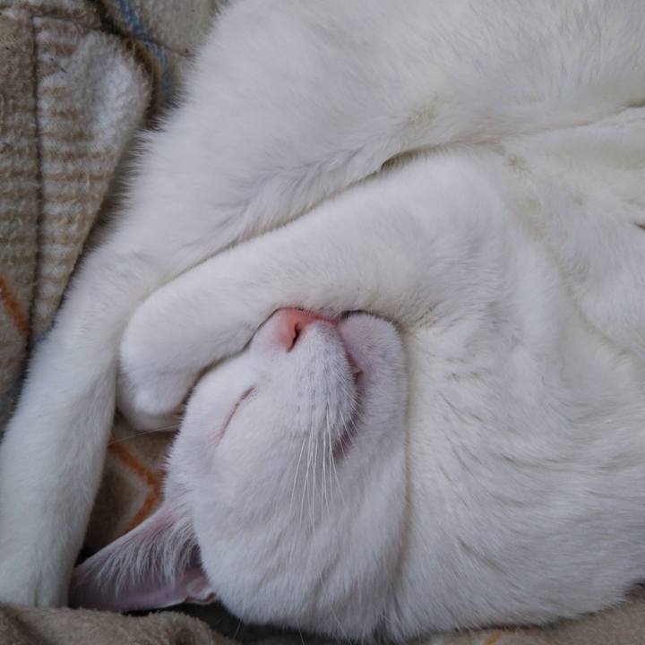 14442bef fae7 455d 8e8b a86852eace35 1544936849547