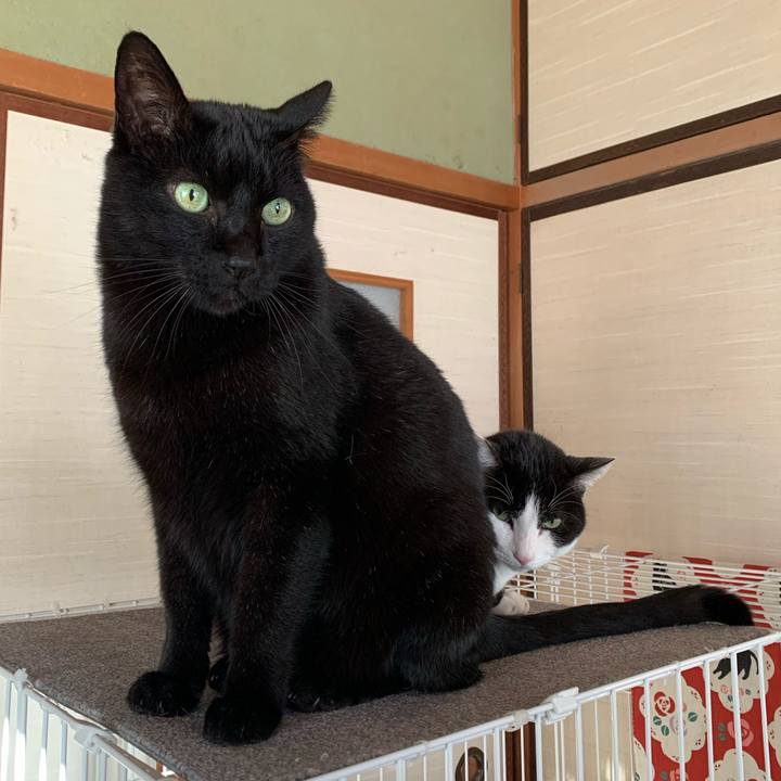 144480a9 6bbe 438b ad89 2058b05c4efa 1581382993749