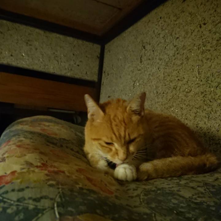 14449c9a 4c18 46ed 8686 499923c1894d 1601727528466