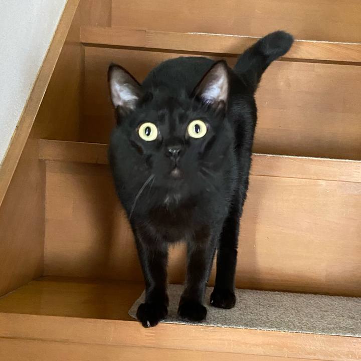 1444a919 677a 4b40 b3ca 93688980b2aa 1648378601104