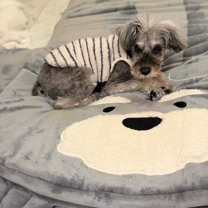 1444b063 b21b 441c 8bca e8851562cedb 1770550428405