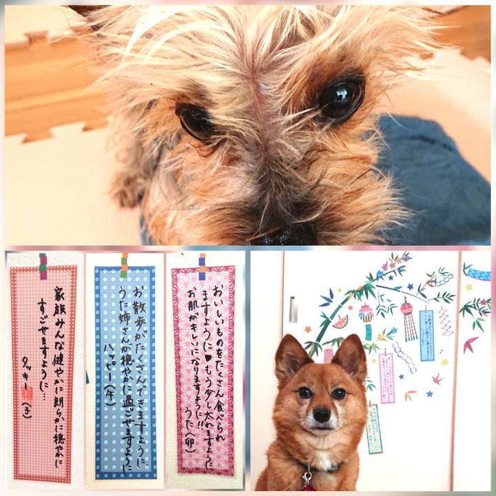 1444c305 af6d 4947 9fd0 c4633b63236b 1624184721885