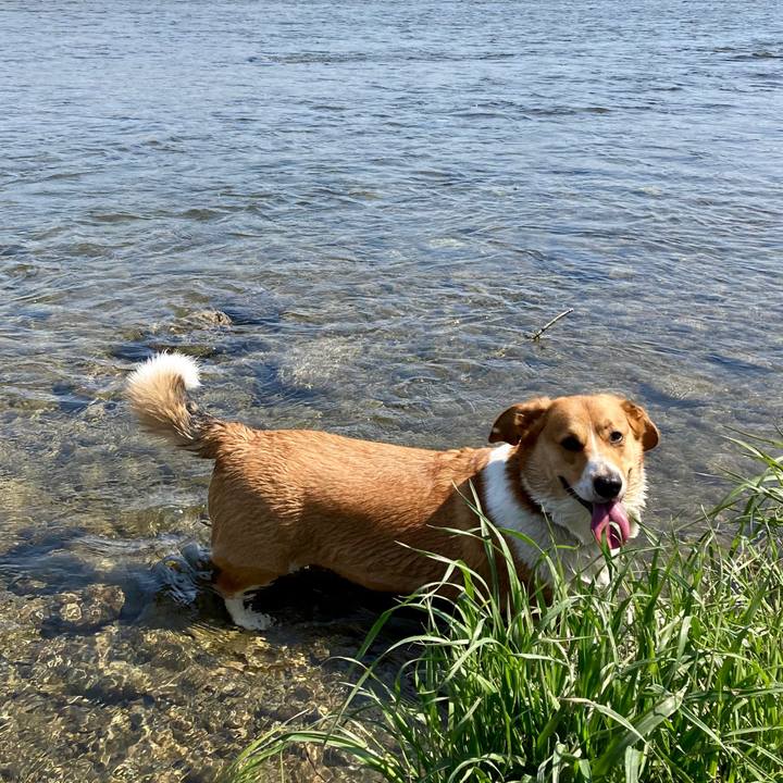 1444f389 4612 4c76 a15d ad65b7c88295 1649381796087