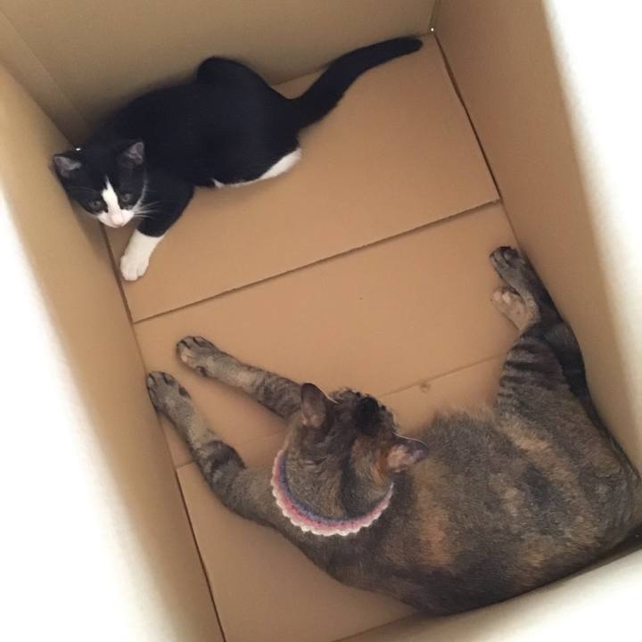 144503f5 3dd8 4ca1 b6b8 74aaa963b78c 1626759801059