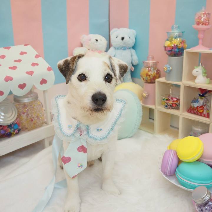 1445384b 7dc1 458e bd46 017f9b529c8d 1588375949453