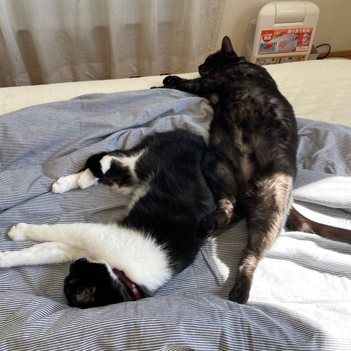 14454ab9 942f 4ac5 a997 f315a1de8052 1633393140417