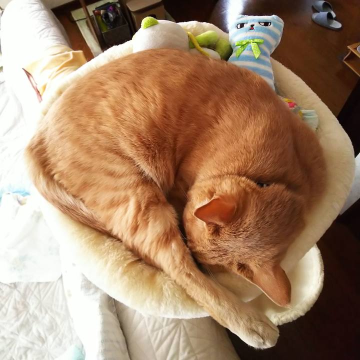 14454d67 4974 4b78 91e3 345665edd9b0 1606197017842