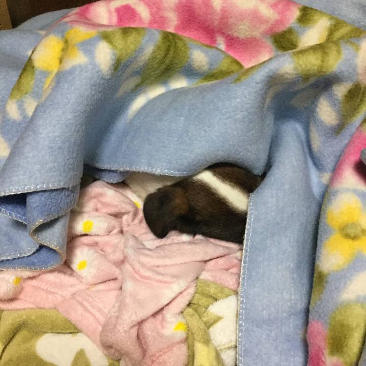 14454e58 9c2a 40bc 96ed a684ee71276a 1517748959217