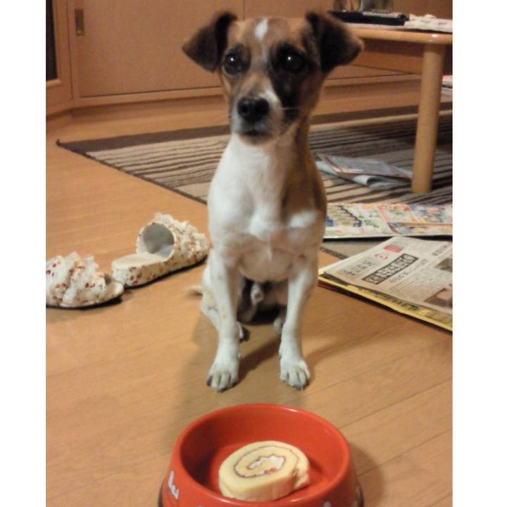 1445cbd7 26b2 41c9 a712 9a128e25f5f3 1622515228389