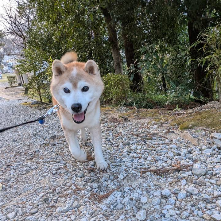 144632ec 74f3 40a7 8189 46c8872bd0ea 1773674259571