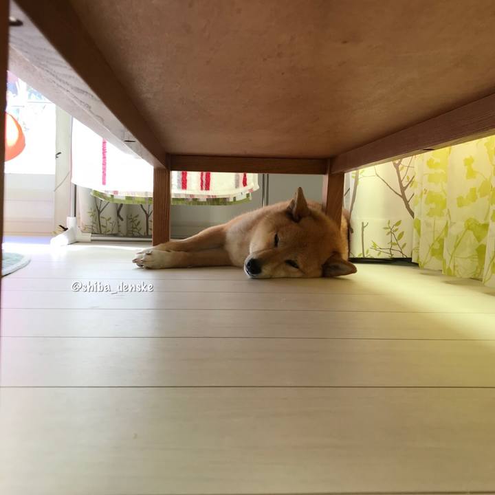 14463e14 bc16 4327 ac4d 812f1df8f782 1527575118939